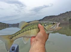 anglers out fishing