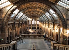 Visit The Naturel History Museum